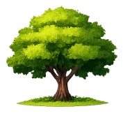 drzewo_ikona_kolor